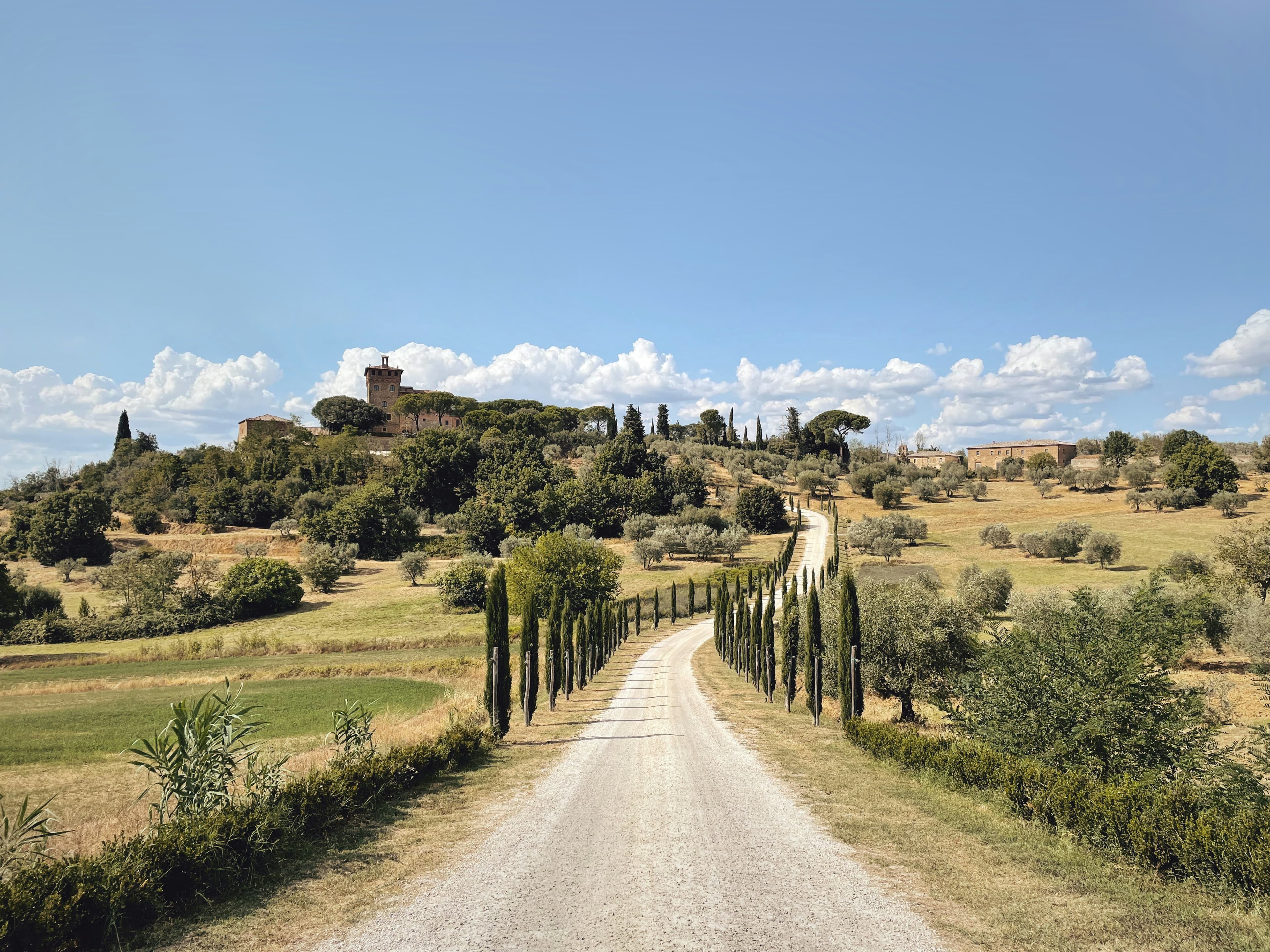 Agriturismo with Vineyard